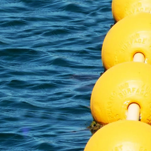 BOE FORO PASSANTE LIETOMARE