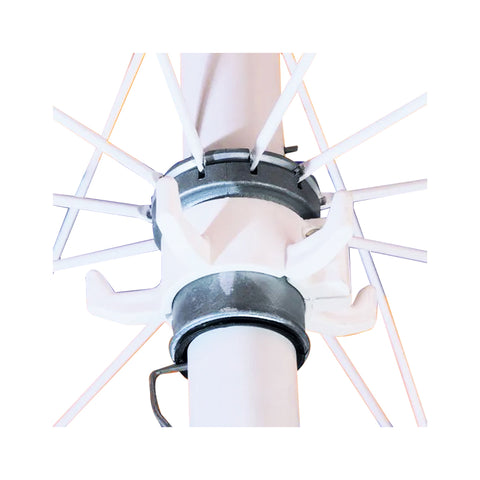 RAGNO APPENDIPANNI LIETOMARE