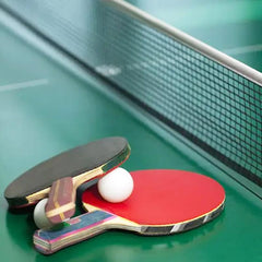 PING PONG PROGRESS INDOOR GARLANDO